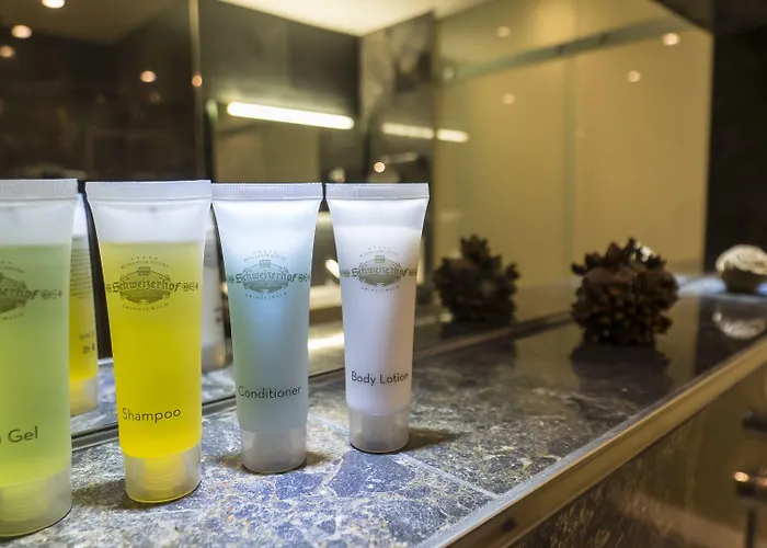 فندق رومانتك شوايزرهوف