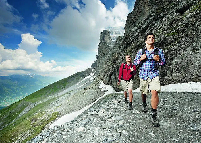 رومانتك شوايزرهوف 5* جريندلوالد