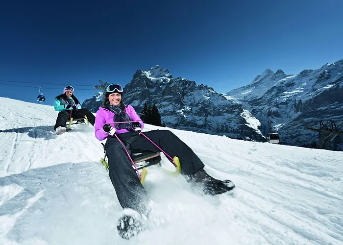 رومانتك شوايزرهوف فندق