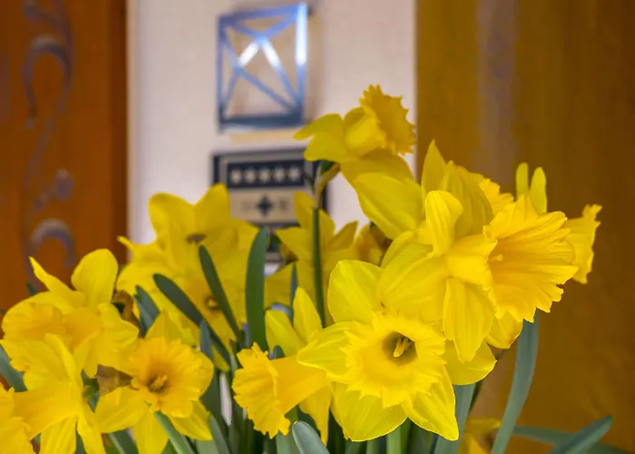 رومانتك شوايزرهوف جريندلوالد