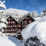 Hotell Romantik Schweizerhof 5*