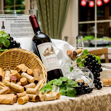 Romantik Schweizerhof 5* Grindelwald